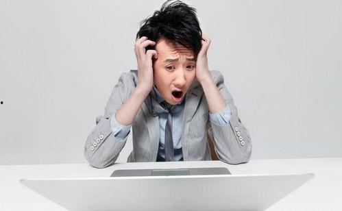 娱乐圈吃瓜爽文小说推荐,从吃瓜小白到瓜王逆袭之路