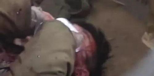 娱乐顶流吃瓜,揭秘顶流明星的“吃瓜”幕后故事