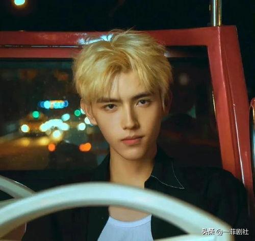 娱乐明星吃瓜资讯视频下载,娱乐资讯视频下载精选回顾