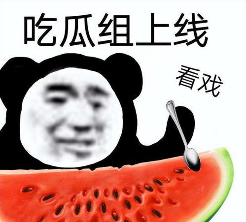 娱乐吃瓜酱的作品真诚才是必杀计,娱乐吃瓜酱的“必杀计”揭秘