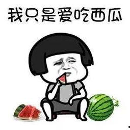 娱乐吃瓜歌曲叫什么,歌曲中的欢乐盛宴